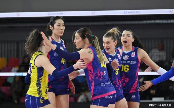 包含专家预测排球胜率超六成，结果成焦点的词条