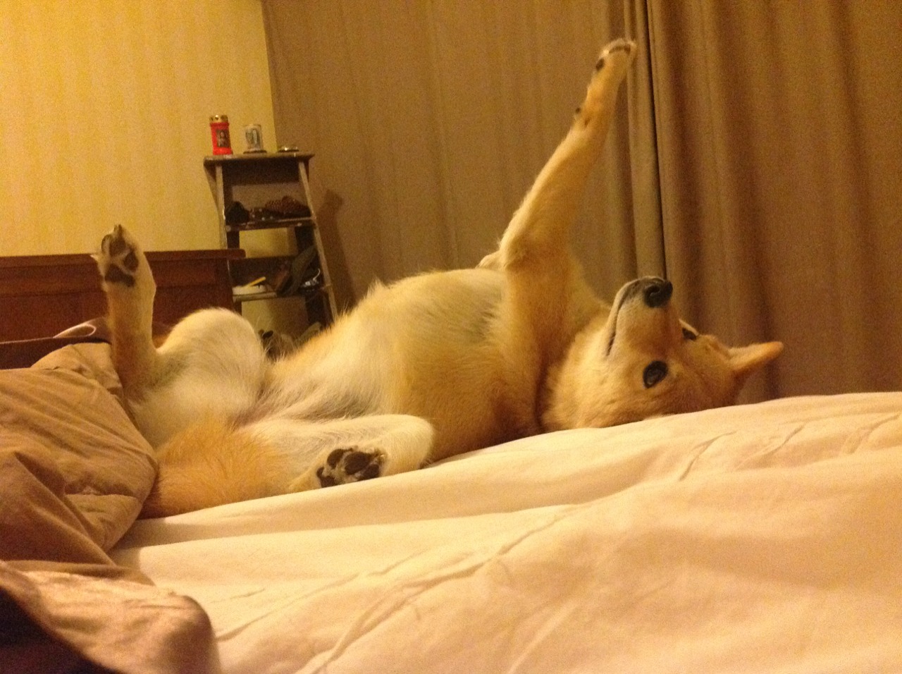 帕尔鸣神威无解，莱比锡红牛力克哥伦比亚奏凯歌