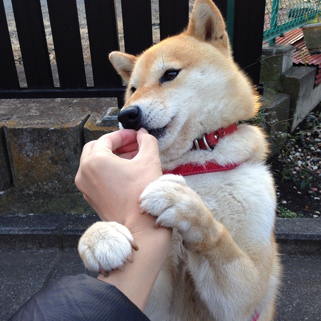 当蓝色铁闸降临绿茵场，坎特的窒息防守让苏格兰梦想提前熄灭