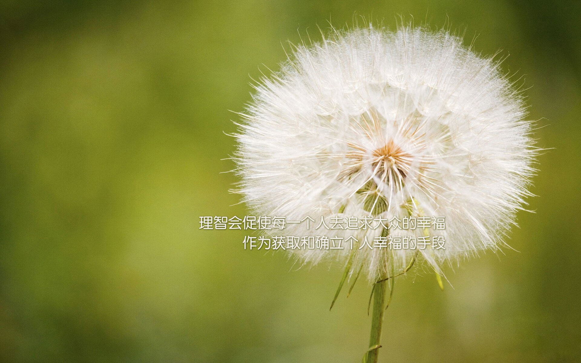 开云体育app-冷焰灼人，挪威无名之辈如何让拉齐奥在寒夜中颤栗，斯通斯为何是关键先生？