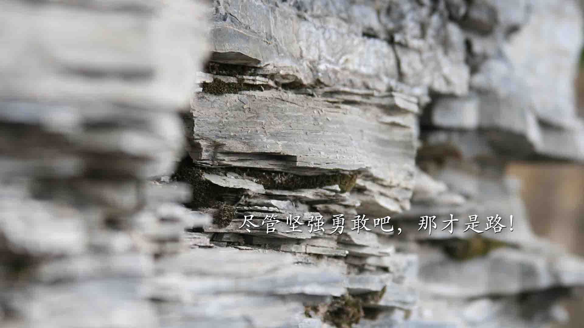 本泽马独舞，摩纳哥征服瑞典夜，一场属于王者的战术交响