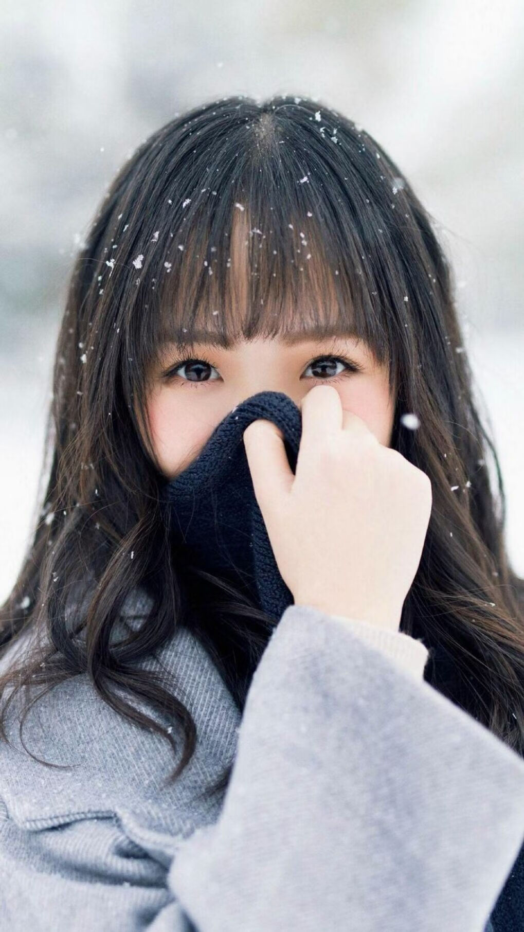 开云体育平台APP-米切尔统治全场！骑士队大胜深圳队精彩实录