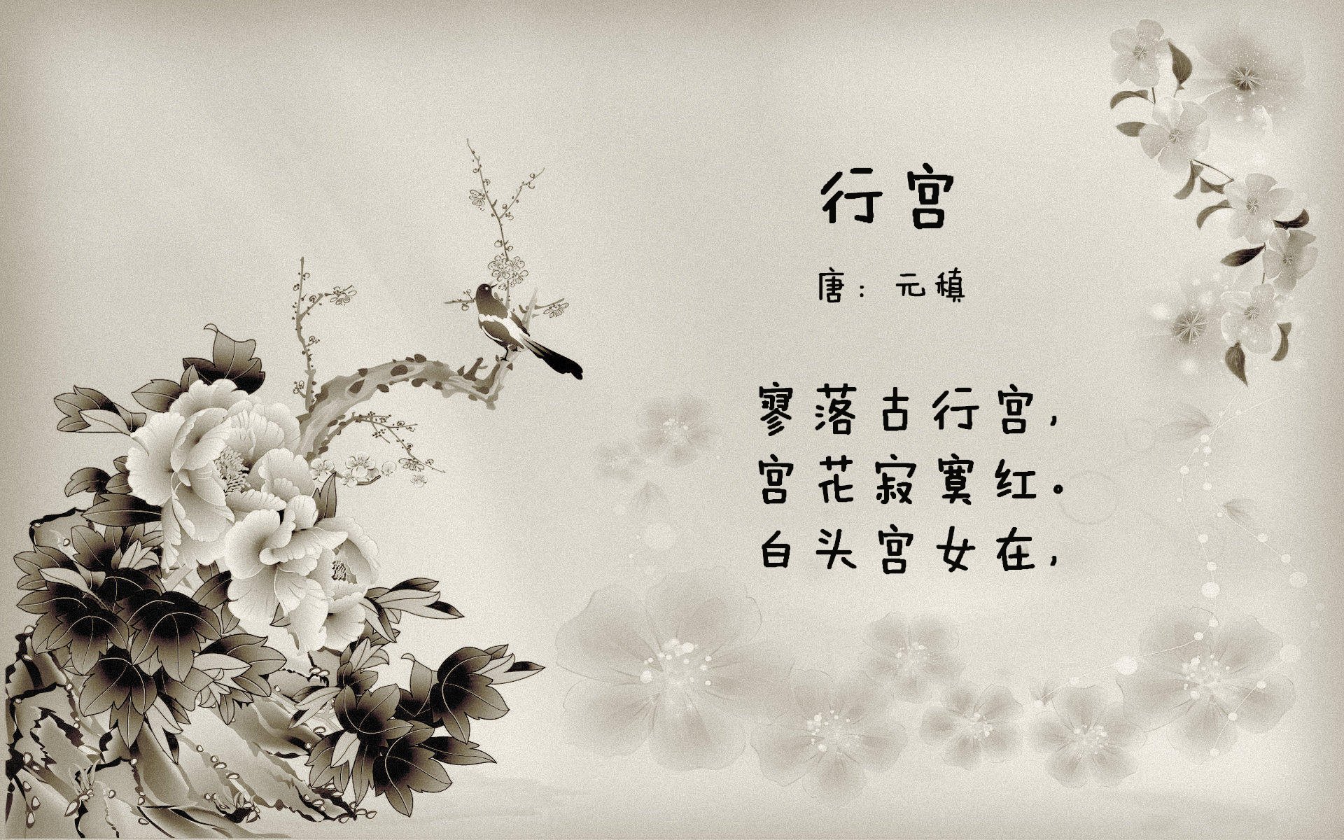 从若鸟到大师,那夜他如何用最纯粹的大脑,指挥了欧冠最残酷的乐章