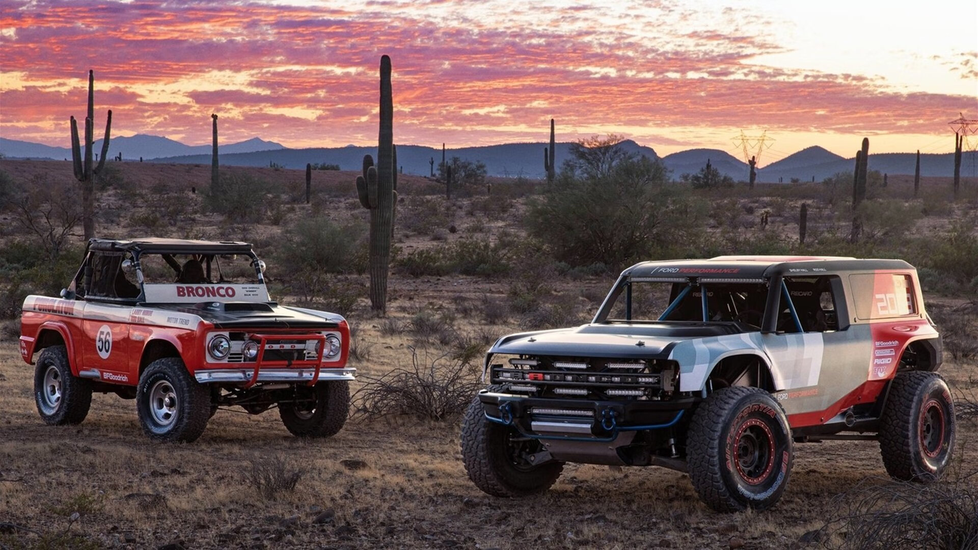 数据狂澜与意志洪流,斯通斯的统治与卡塔尔的逆袭