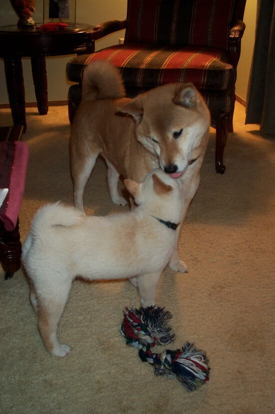 无声处听惊雷，伊萨克关键回合的寂静与风暴