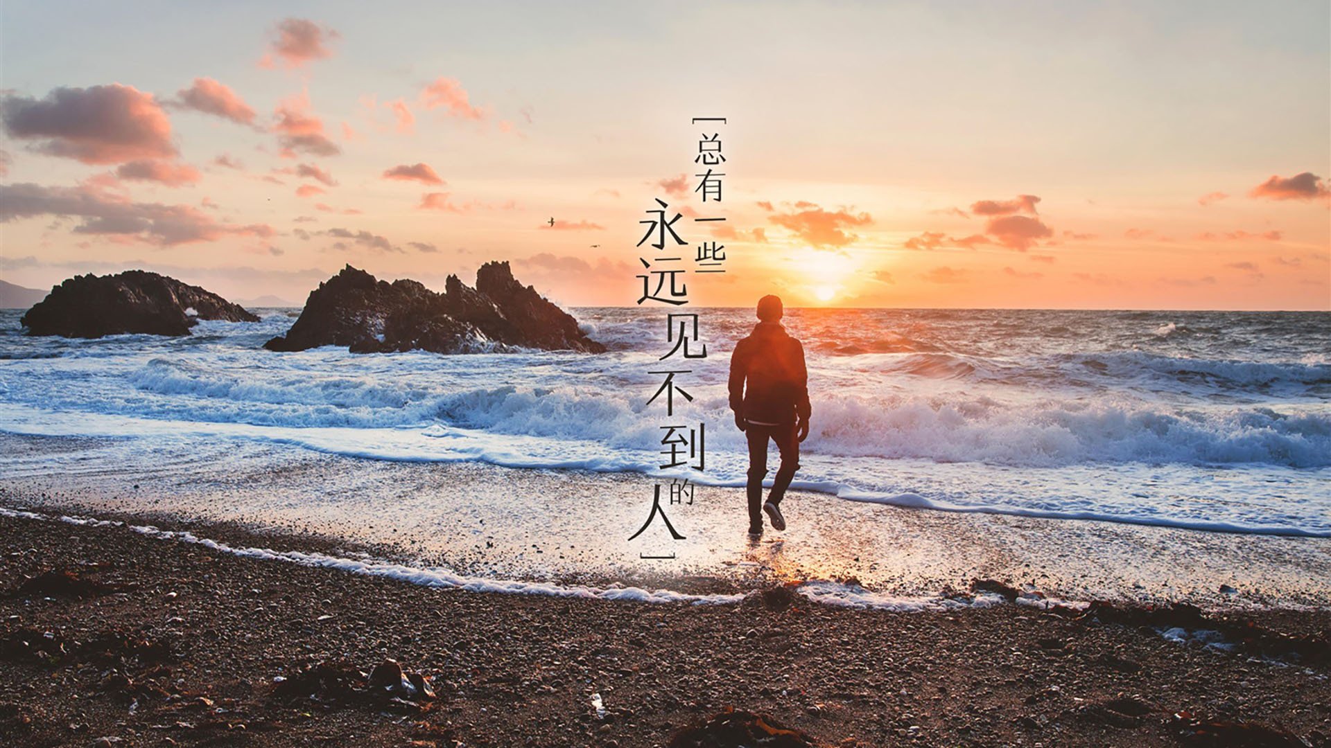 蜂刺与利刃，不同赛场上的王者时刻