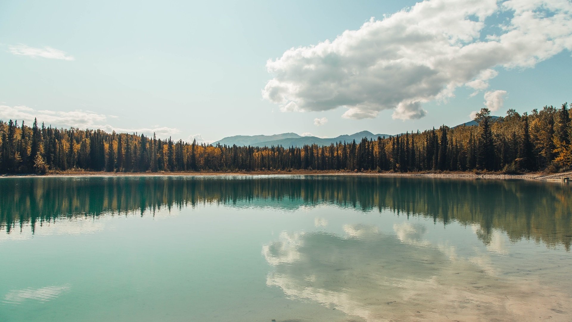 请作答，当欧冠淘汰赛之夜来临，哈里·凯恩迎来终极加冕舞台