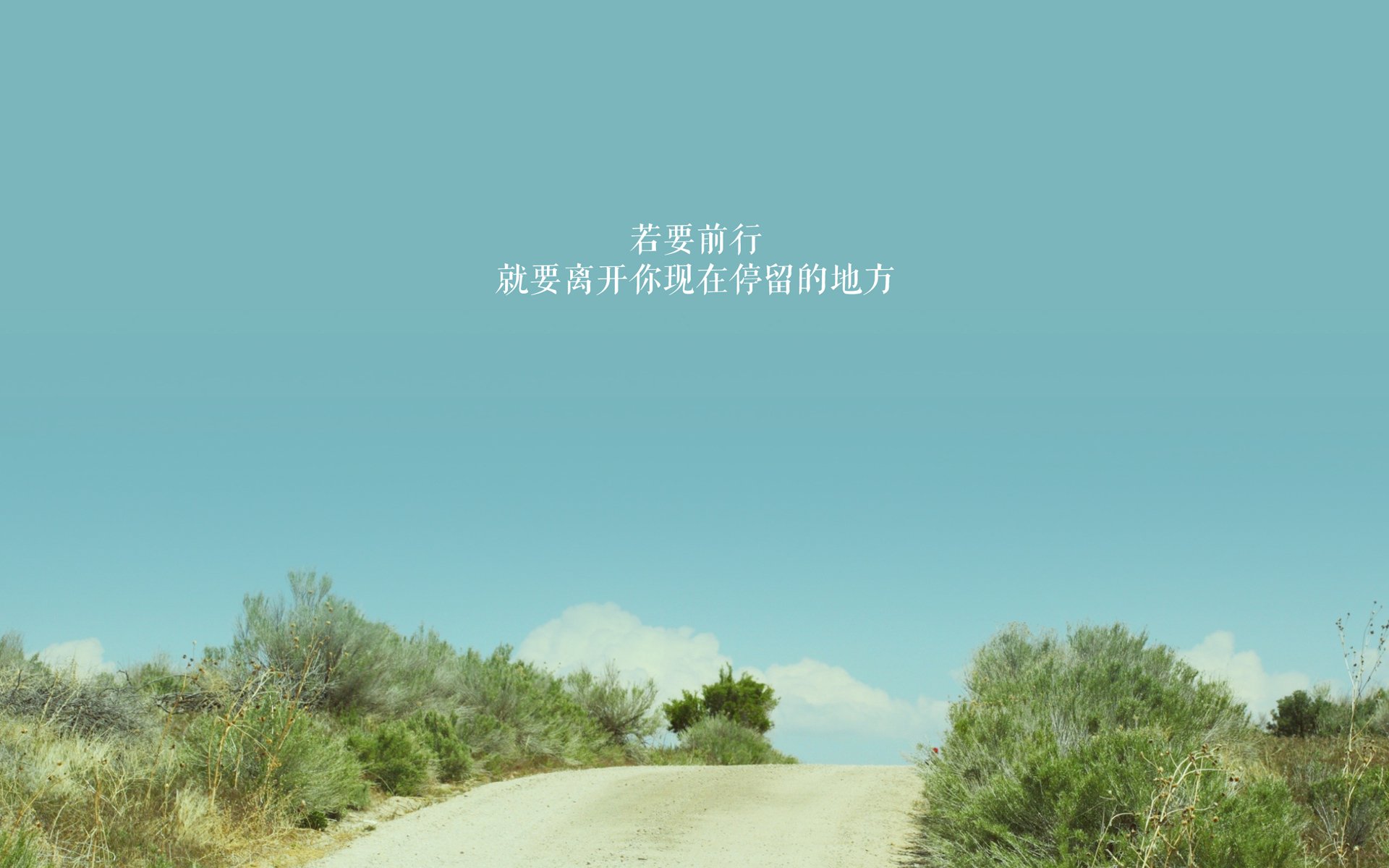 卡塔尔之夜,吉鲁一剑封喉,东道主力克哥伦比亚挺进八强