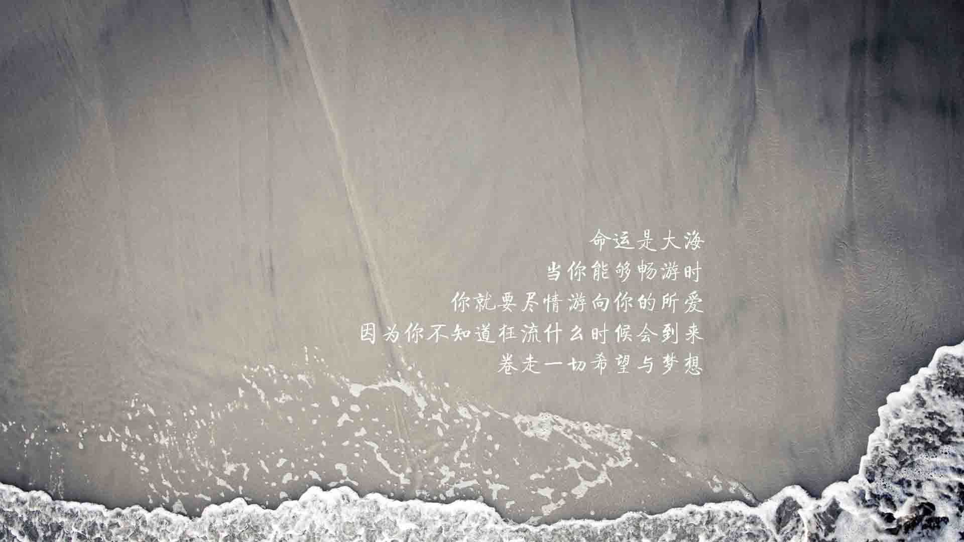 开云官网-2026世界杯巅峰对决，德国战车碾碎塞尔维亚，卢卡库孤星闪耀难救主