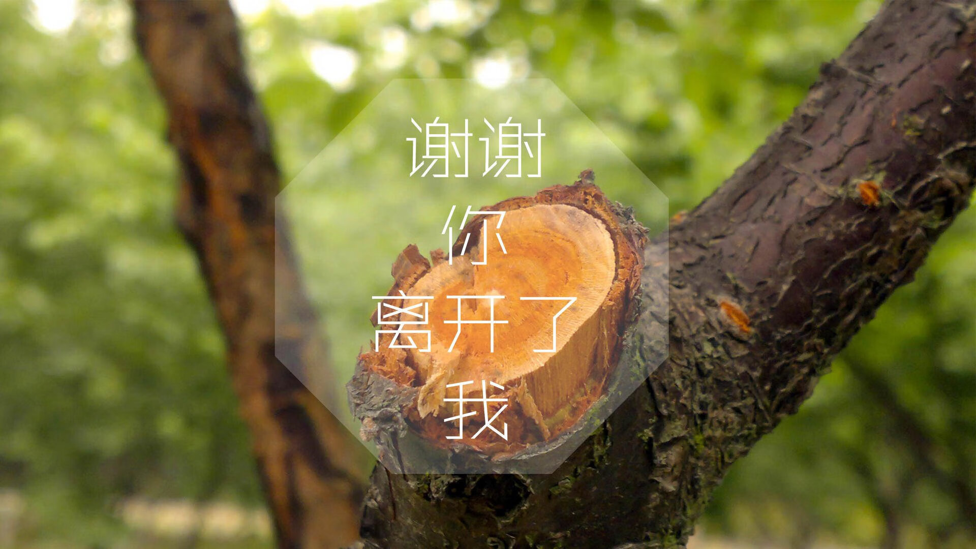 北欧童话破灭?维尼修斯与默契之刃，刺穿2026世界杯F组最坚固防线